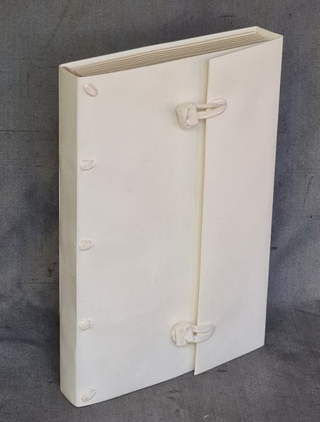 Vellum bound note book